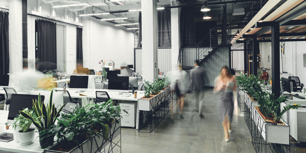 Fit Out Finance